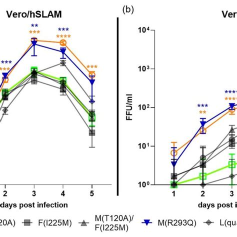 Replication Kinetics Of The Measles Virus MV Clones In The Presence