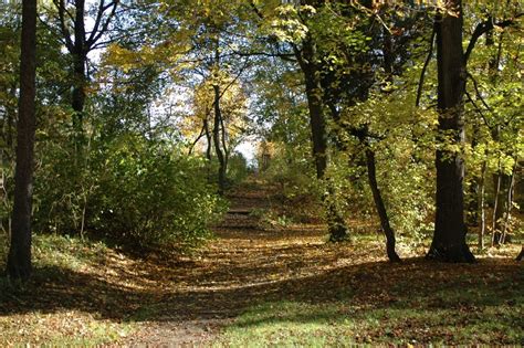 Schötener Promenade - Stadt Apolda