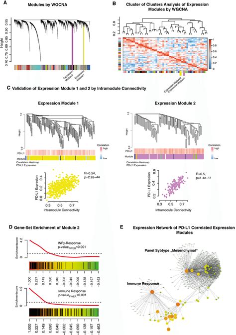 A Weighted Gene Co Expression Network Analysis Of The Whole