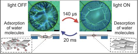 Remote And Spatiotemporal Control For The Actuation Of Biocompatible