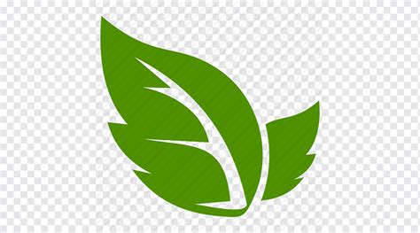 Stensil Daun Ikon Komputer Leaf Leaf Leave Icon Bermacam Macam