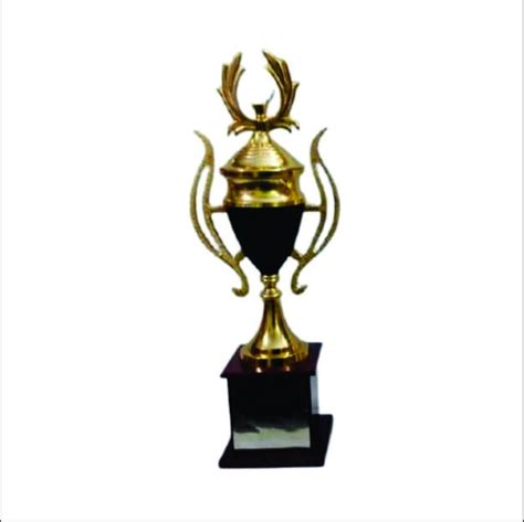 Metal Cup Trophy At Rs 2000 Piece Brass Trophy In New Delhi ID