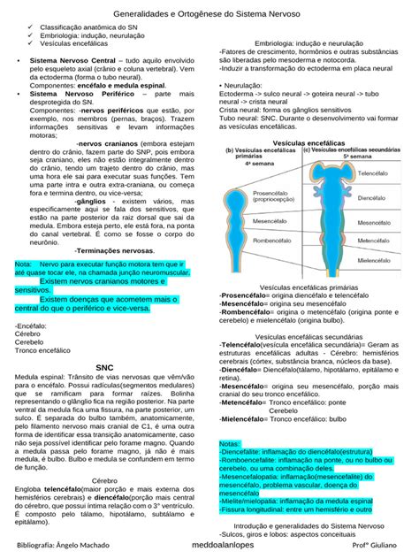 Generalidades Sistema Nervoso Pdf Pdf Medula Espinhal Cérebro