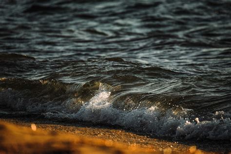 Brown Sun Hat on Beach · Free Stock Photo