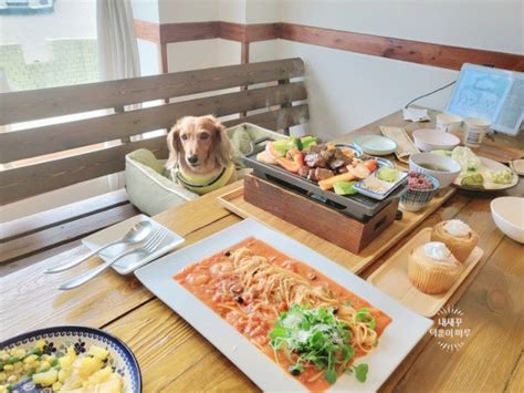 인천 애견동반식당 개별룸이 있는 강아지 동반식당 강화도 농가의식탁 네이버 블로그