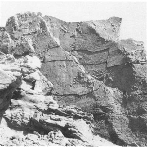 Dike-related structures indicating horizontal dike propagation in ...