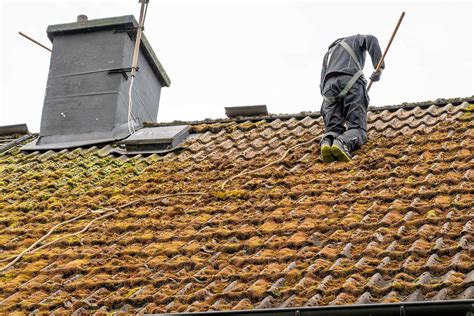 Trusted Roof Cleaning Moss Removal Experts Magna Roofing