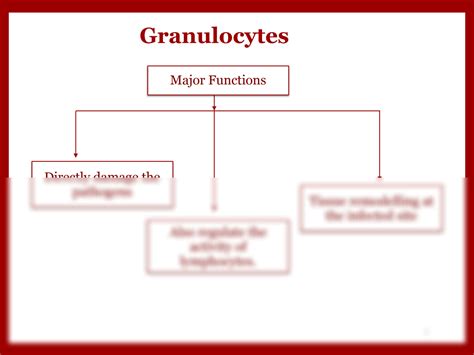 Solution Granulocytes And Monocytes Ppt Studypool