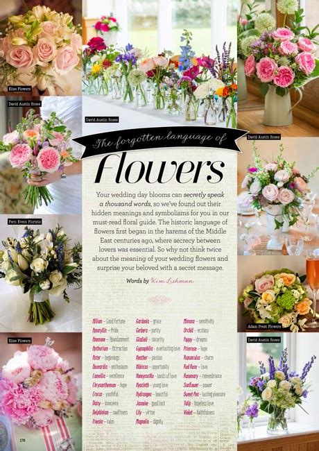 The Meaning Of Flowers And Flower Significance Flower With Styles