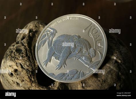 Investment Pure Silver Coin Australian 1 Dollar Koala Stock Photo Alamy