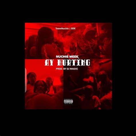 Ay Hurting Single Album By Nuchie Meek Apple Music