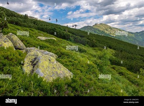 Faible Pente Herbeuse Banque De Photographies Et Dimages Haute