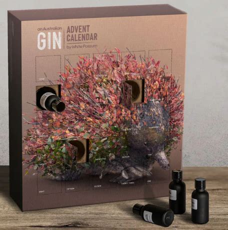 Best Gin Advent Calendar 2022 Australia Buying Guide - Christmas Time Made Easy