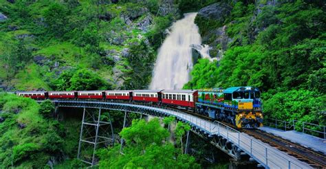 Cairns Skyrail Cableway A Kuranda Y Billetes De Tren Getyourguide