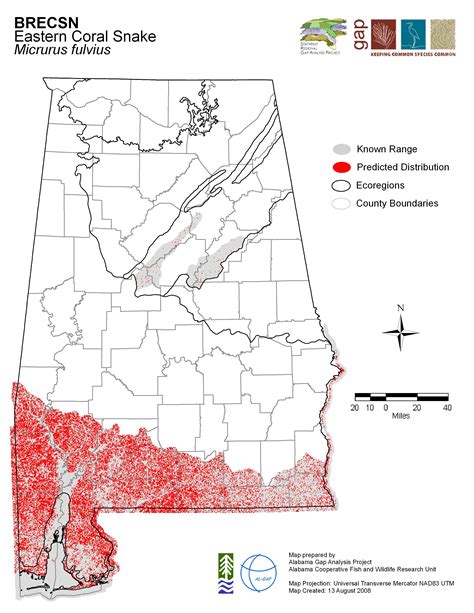 Eastern Coral Snake – Alabama Herpetological Society