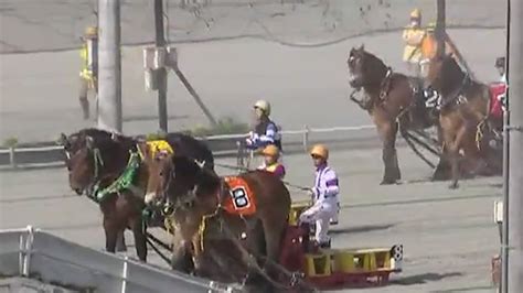 帯広市運営、日本最悪の虐待競馬「ばんえい競馬」で騎手が馬に蹴られる。馬は痛みを感じていないとか、非科学的な暴論で競馬を継続しようとする輩たち