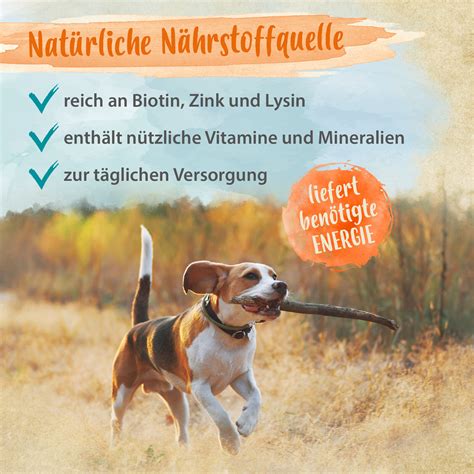 Ida Plus Bierhefe Tabletten 120 Stück für Hund Katze reich an B