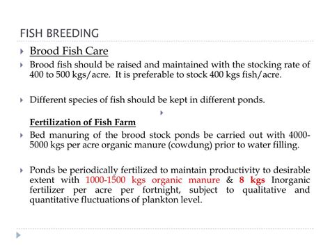 Ppt Fish Breeding Powerpoint Presentation Free Download Id1862024