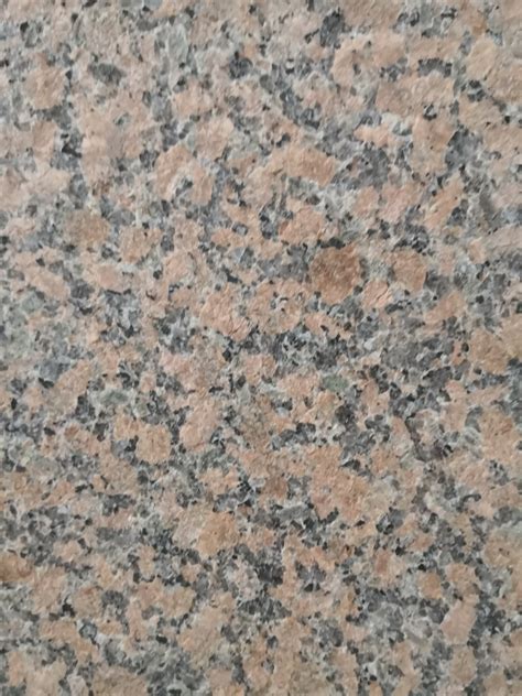 Supply G562 Granite Wholesale Factory - Xiamen Carmel stone co.,Ltd
