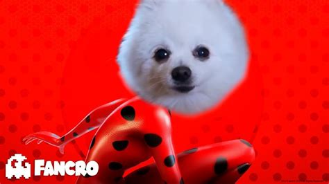 Miraculous Ladybug Dog Song Youtube