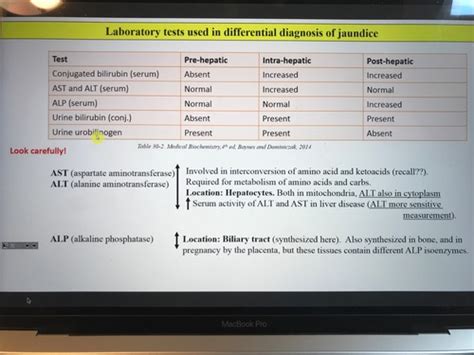 Biochem Exam 3 Flashcards Quizlet