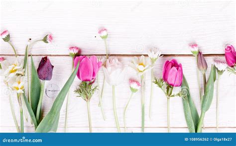 Bouquet First Spring Flowers, Pink, Purple Tulips, Daffodils And ...