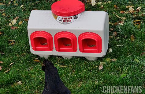 OverEZ Chicken Feeder Review 2025 Chicken Fans