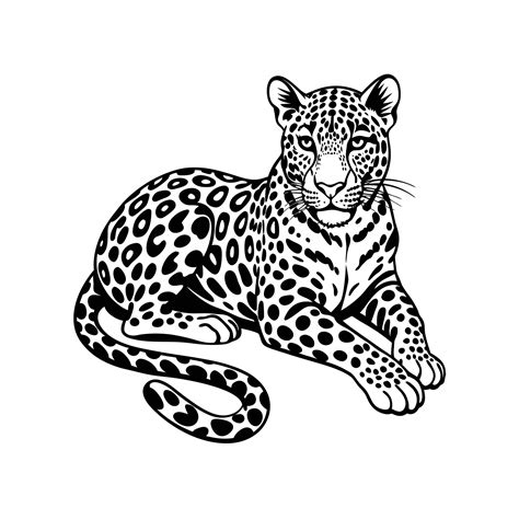 leopard lying silhouette 47975303 Vector Art at Vecteezy