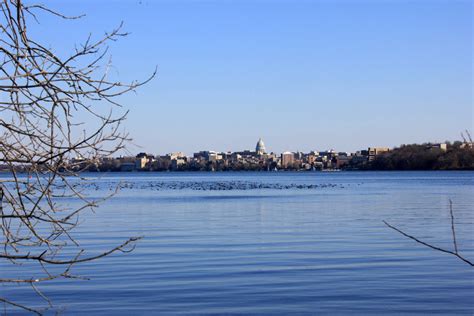 Madison Skyline In Madison Wisconsin Image Free Stock Photo Public