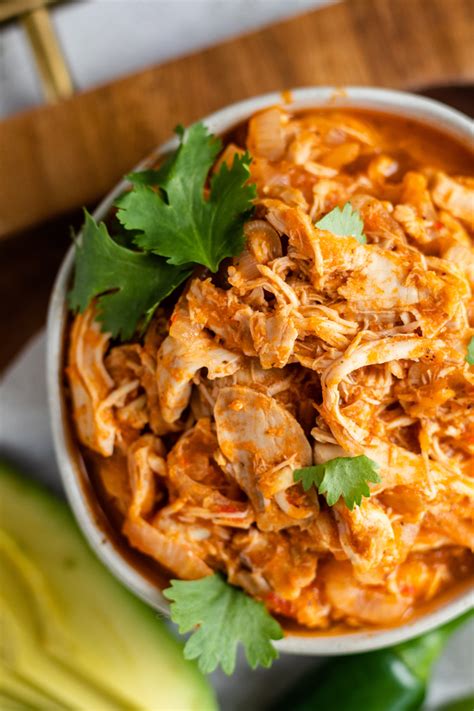 Tinga De Pollo Chicken Tinga Savory Suitcase