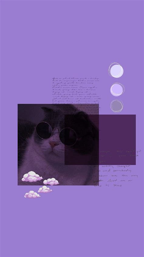 Cat Purple Aesthetic Purple Cat HD Phone Wallpaper Pxfuel