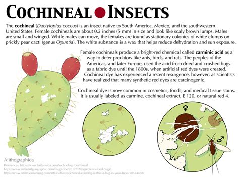 Science Fact Friday: Cochineal Insects by Alithographica on DeviantArt