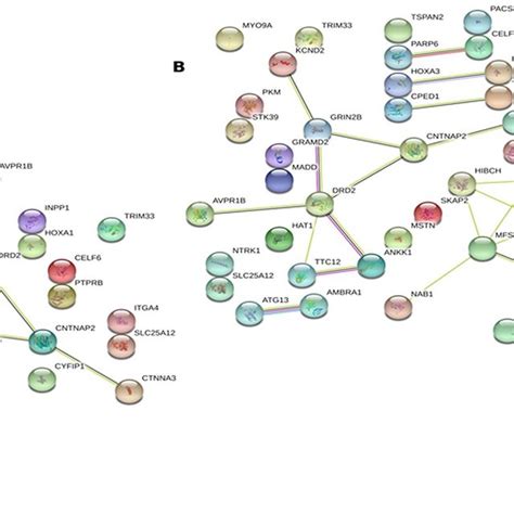 Proteinprotein Interaction Networks A STRING Network Showing Genes