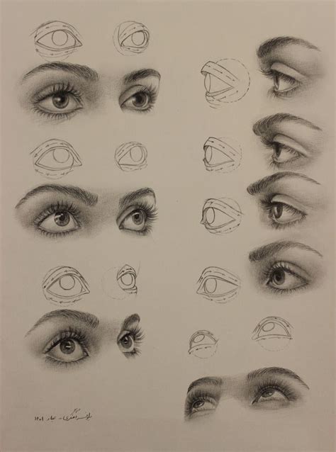 A Drawing Of Different Types Of Eyes