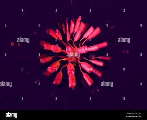 D Rendered Illustration Visualisation Of A Generic Virus Stock Photo