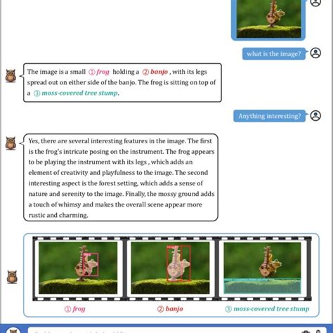 Example 1 Of Fine Grained Visual Understanding With Grounding