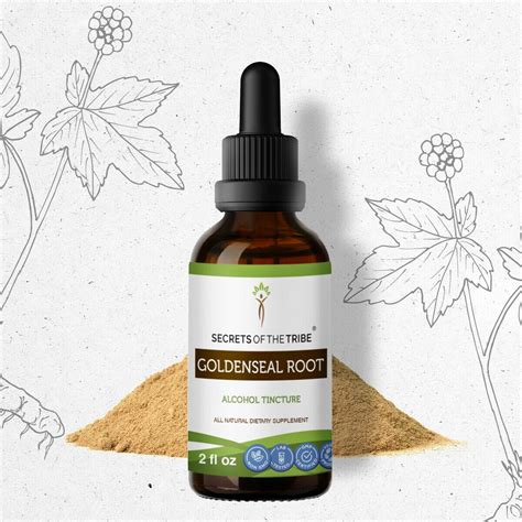 Goldenseal Root Tincture Alcohol Extract Responsibly Farmed Organic Goldenseal Hydrastis