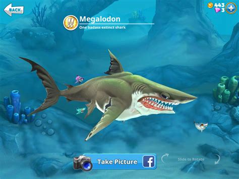 How To Unlock Every Shark In Hungry Shark World From Whitetip To