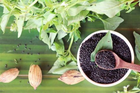 5 Perbedaan Chia Seed Dan Biji Selasih Yang Perlu Diketahui