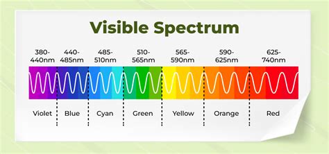 What Is Dispersion Of Light