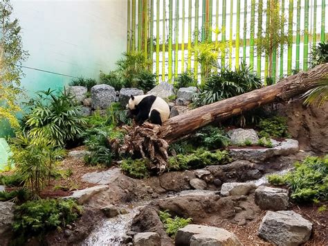 Calgary Zoo, Panda Passage - CADdetails