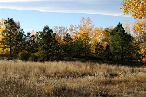 Autumn Meadow – Photos Public Domain