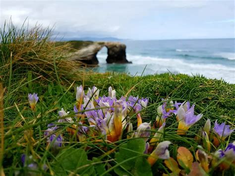 As Catedrais Beach Spain: The Beach of the Holy Waters!