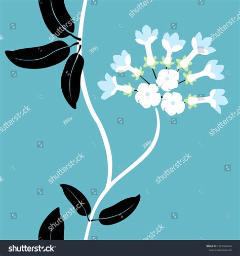 Madagascar Jasmine Flower Vector Stephanotis Floribunda Stock Vector