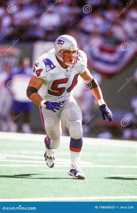 Tedy Bruschi New England Patriots Editorial Photography - Image of tedy, aggressive: 108608537