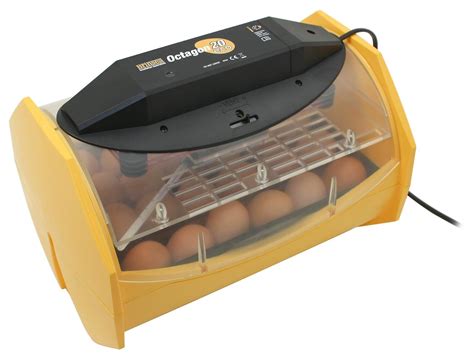 The Best Egg Incubators Reviews Ratings Jun