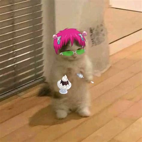 Saiki K But Cat