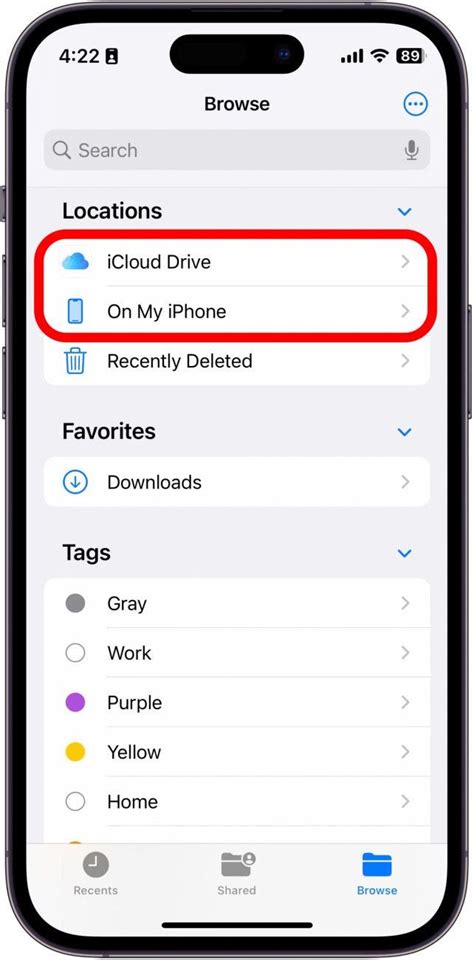 Cómo ver extensiones de archivo en iPhone 2023 ThemeLocal consejos