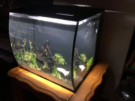 Tanks Gal Hot Sex Picture