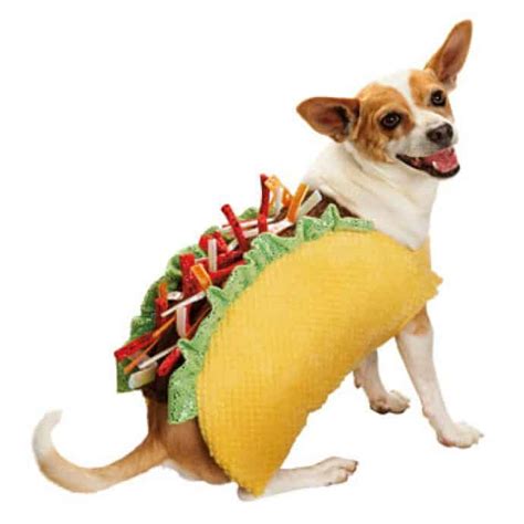 Petco 50% Off Sale: Buy Your Doggie Halloween Costumes